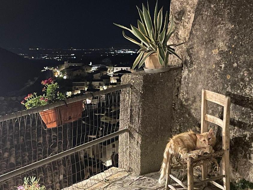 B&B Dhafna Civita Buitenkant foto