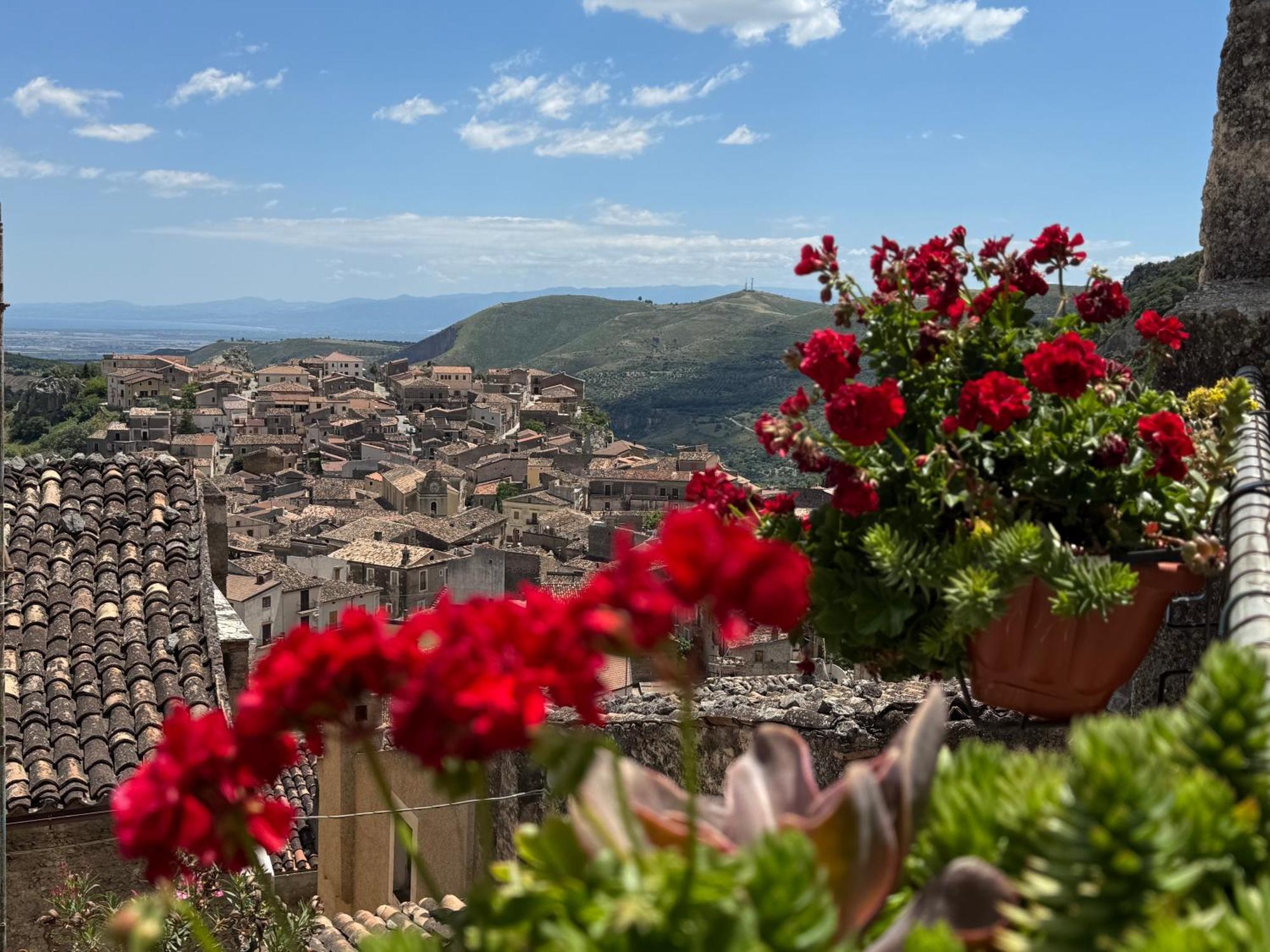 B&B Dhafna Civita Buitenkant foto