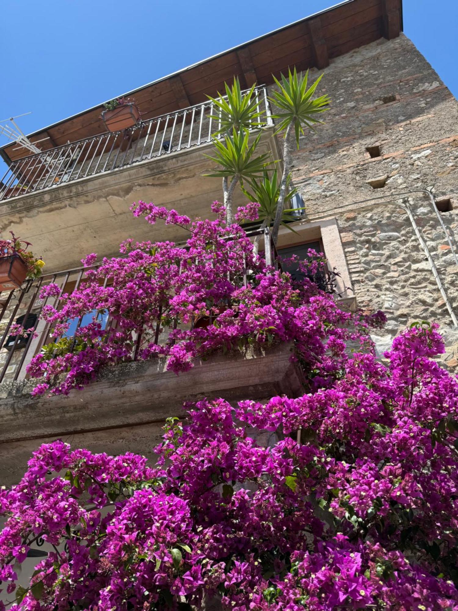 B&B Dhafna Civita Buitenkant foto